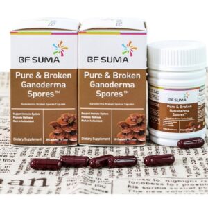 Pure & Broken Ganoderma